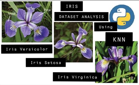 Iris Data set Analysis using KNN. So you’ve done all the reading part ...