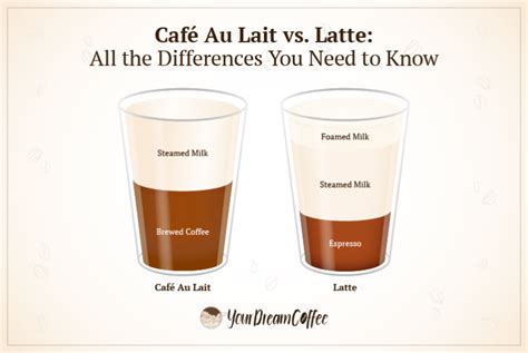 Café Au Lait vs. Latte: All the Differences You Need to Know