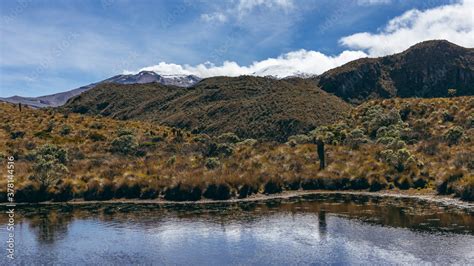 Landscape in Los Nevados National Natural Park in Colombia. Nevado de ...