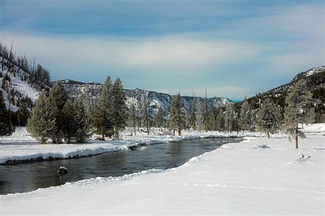 Download free photo of Yellowstone,national park,travel,tourism,snow - from needpix.com