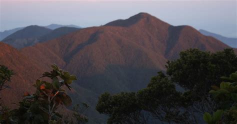 Best time for Hiking Blue Mountain Peak in Jamaica 2019 & Map