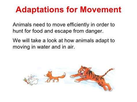 Adaptations For Movement (30 Jun)