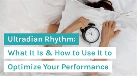 Ultradian Rhythm: What It Is & How to Use It to Optimize Your ...