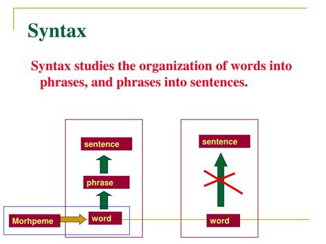 PPT - Introduction to Linguistics Chapter 4: Syntax PowerPoint ...