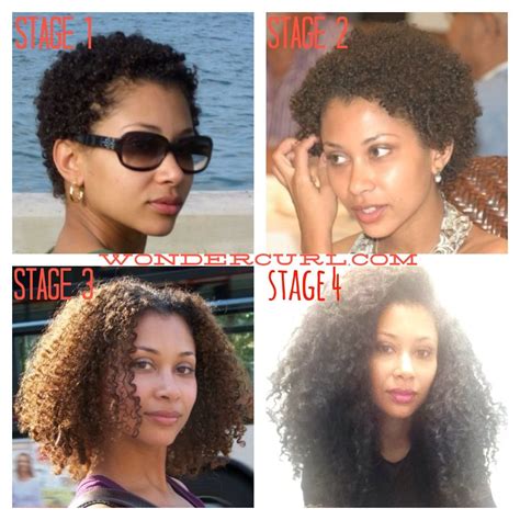 Stages of natural hair WonderCurl.com | Hair journey, Natural hair ...