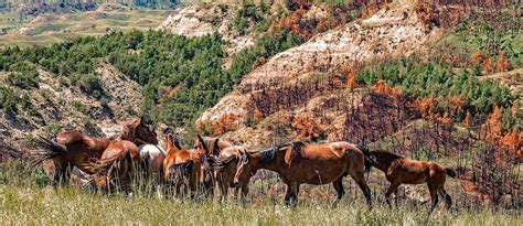 Teddy Roosevelt National Park on Wand'rly