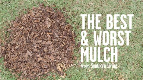 The Best and Worst Mulch for Your Garden | Southern Living - YouTube