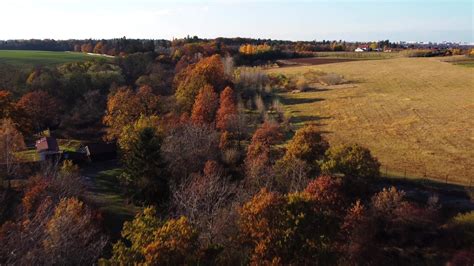 Aerial view of autumn landscape with trees and field 11112397 Stock ...