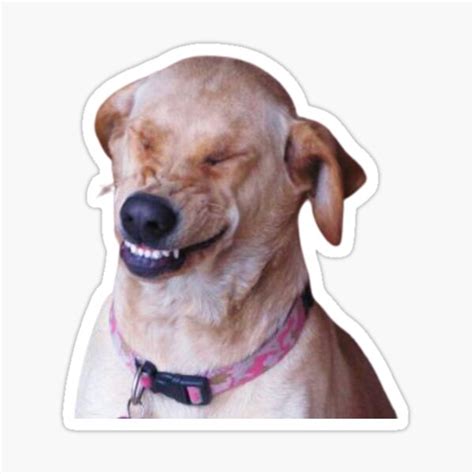 "Funny Dog Stickers" Sticker for Sale by KawaiiBooth | Redbubble