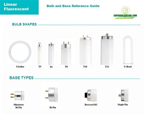 BULB REFERENCE GUIDE from Commercial Lighting Experts | Bulb, Commercial lighting, Fluorescent bulb