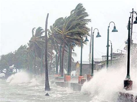 Cyclone 'Gaja' leaves trail of destruction in Tamil Nadu - Urban Update