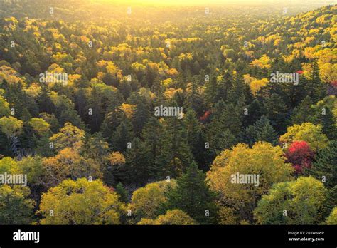 Mikuni Pass in Autumn Stock Photo - Alamy