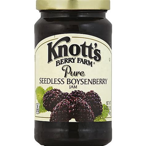 Knott's Berry Farm Pure Seedless Boysenberry Jam 16 Oz Jar | Jams ...