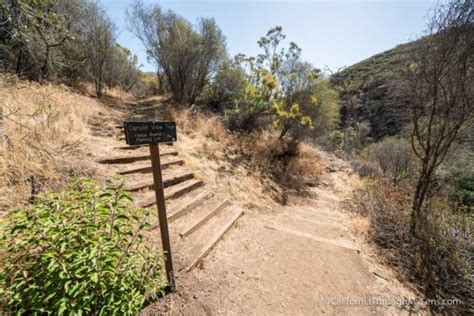 The Grotto Falls Hike in Malibu and the Santa Monica Mountains ...