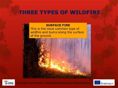 Primary - Wildfires - Prevention