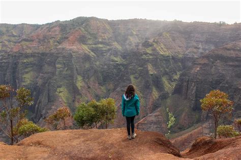 Waimea Canyon and Koke'e State Park: Best Views and Hikes - Getaway Compass