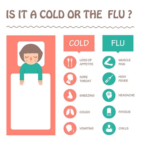 Cold Symptoms 2022 Flu Cdc Symptoms Colds | Venzero