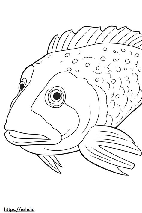 Blue Eyed Pleco face coloring page