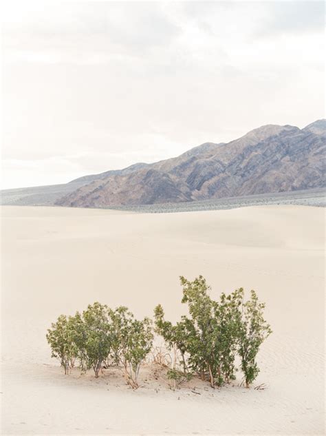 death valley sand dunes trash the dress photography | maggie & kenny ...