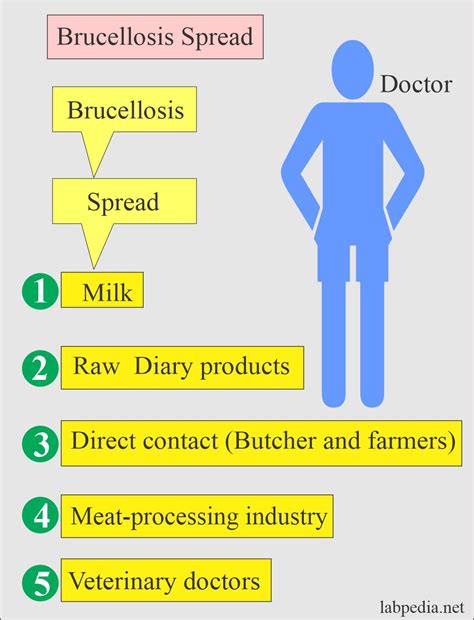 How Is Brucellosis Spread In Dogs