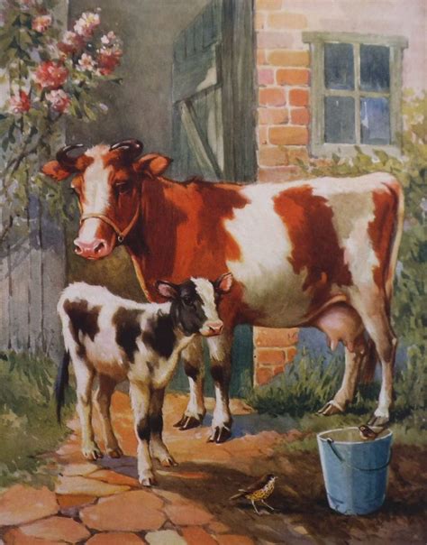 Vintage Dairy Cow Print - Dairy Cow & her Calf by A E Kennedy 1935 ...