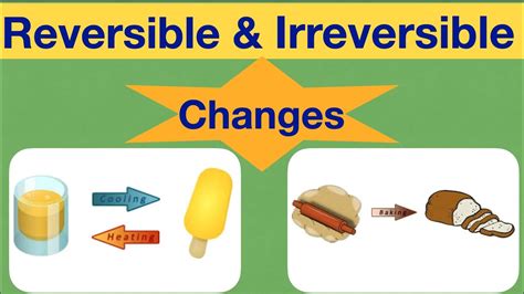 Changes Around Us (Reversible & Irreversible change)|| class 6 science ...