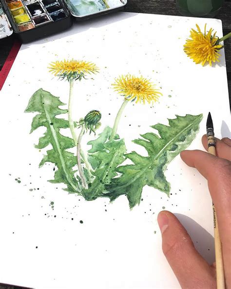 Beautiful Watercolor Dandelion Painting Ideas - Beautiful Dawn Designs