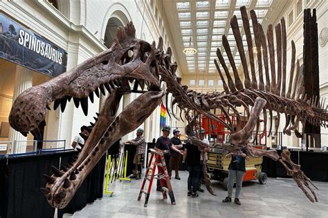 The World’s Largest Predatory Dinosaur Just Debuted at the Chicago ...