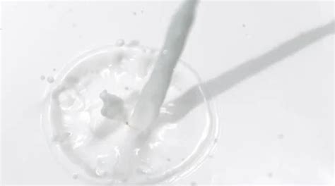 Milk Splash Stock Video Footage | Royalty Free Milk Splash Videos | Page 2