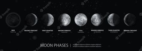 Premium Vector | Movements of the moon phases realistic