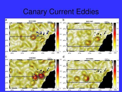 PPT - The Canary Current PowerPoint Presentation, free download - ID ...