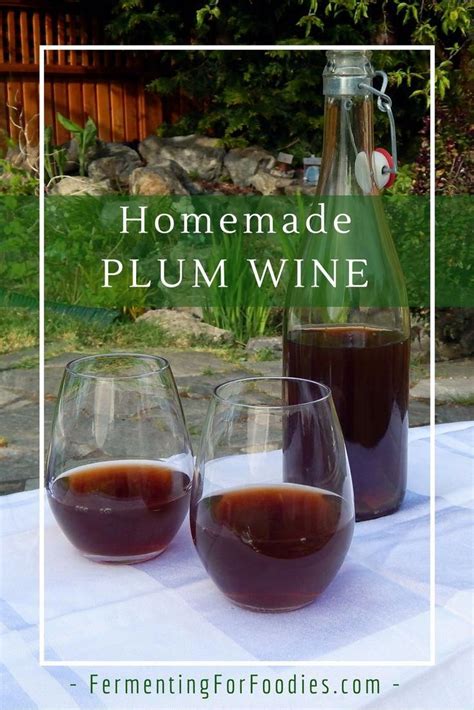 Easy homemade plum wine - DIY fermentation #winemaking | Plum wine, Homemade wine, Wine recipes