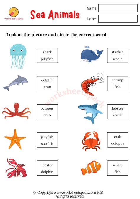 Free Printable Sea Animals Worksheets - worksheetspack