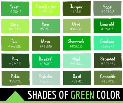34 nuances de couleur verte avec des noms et des codes HTML, hexadécimaux, RVB | Madame Lelica