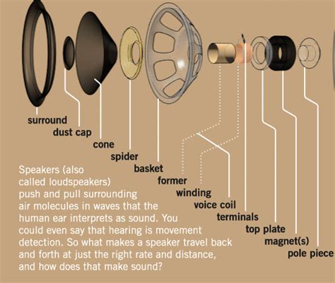 How speakers make sound and other cool animated graphics | Speaker projects, Speaker design, Car ...