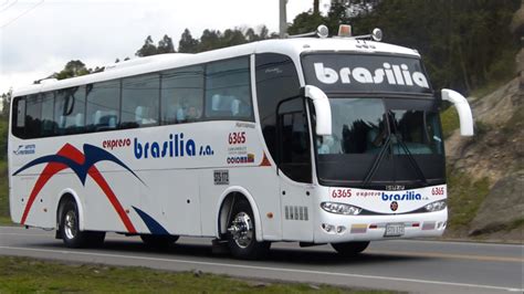 Best Bus Companies in Colombia Expreso Brasilia - Viajar por Colombia