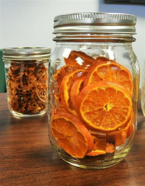 47 Food Dehydrator Recipes! - The Organic Goat Lady