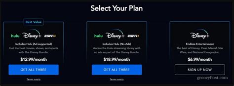 Everything To Know About Hulu Disney Plus Bundle