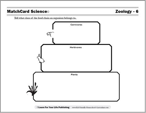 Nitrogen Cycle Worksheet