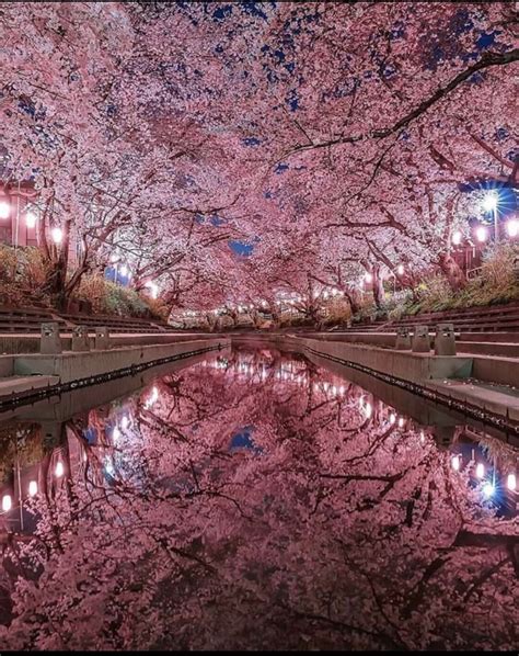 How symmetrical and beautiful this Japanese canal is : r/oddlysatisfying