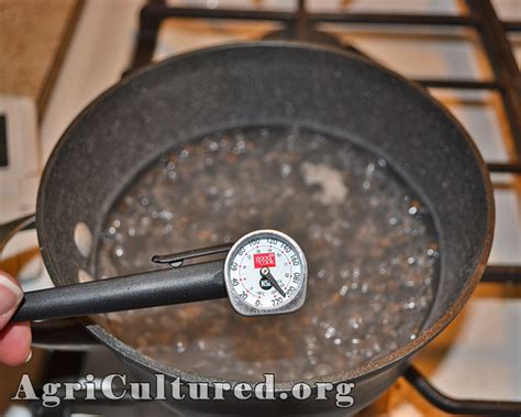 Is Your Thermometer Right? - My Fearless Kitchen