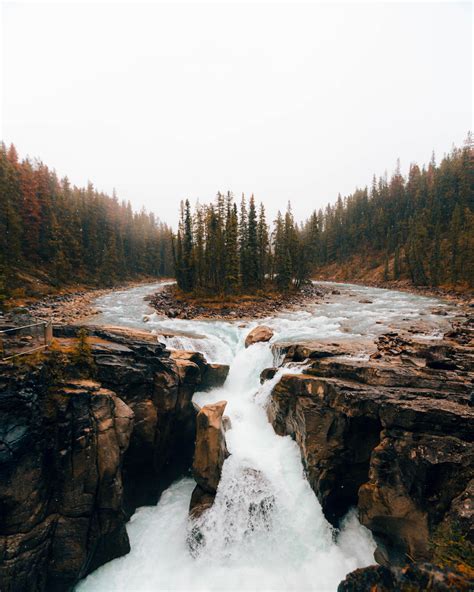 MichaelPocketList: Sunwapta Falls in Jasper National Park, Alberta. [OC] [3648 x 4560]