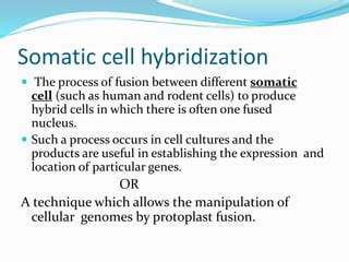 Somatic cell hybridization | PPT