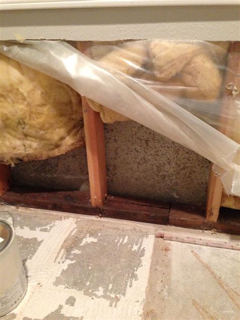 Is spraying peroxide on studs with mold enough? - Home Improvement ...