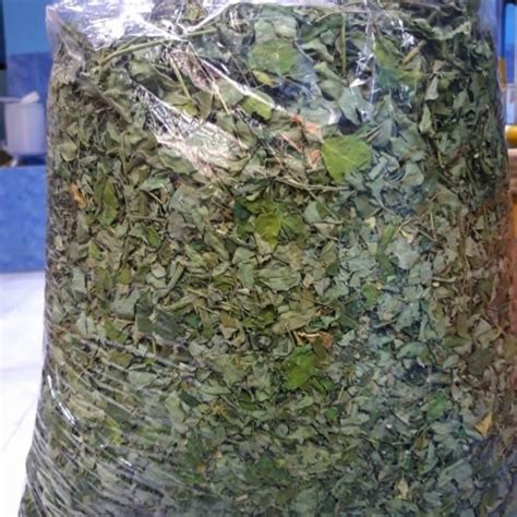 Daun Kelor Kering Asli 1/2 kg Herbal Alami | Lazada Indonesia