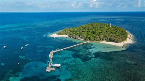 Green Island Ecosystem - Green Island Resort