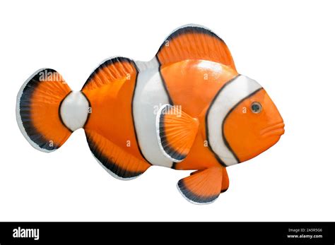 Statue of cartoon fish nemo orange color Stock Photo - Alamy