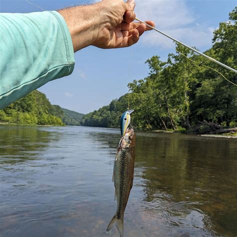 Blue Ridge Fishing Culture | Best Public Fishing Waters in VA