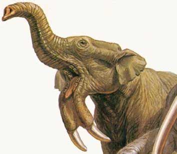 Deinotherium Prehistoric World, Prehistoric Creatures, Namibian ...