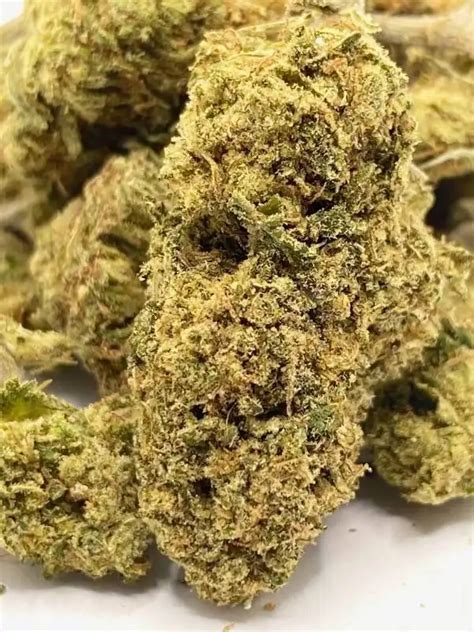 Lemon Thai Strain Review from HDIGW